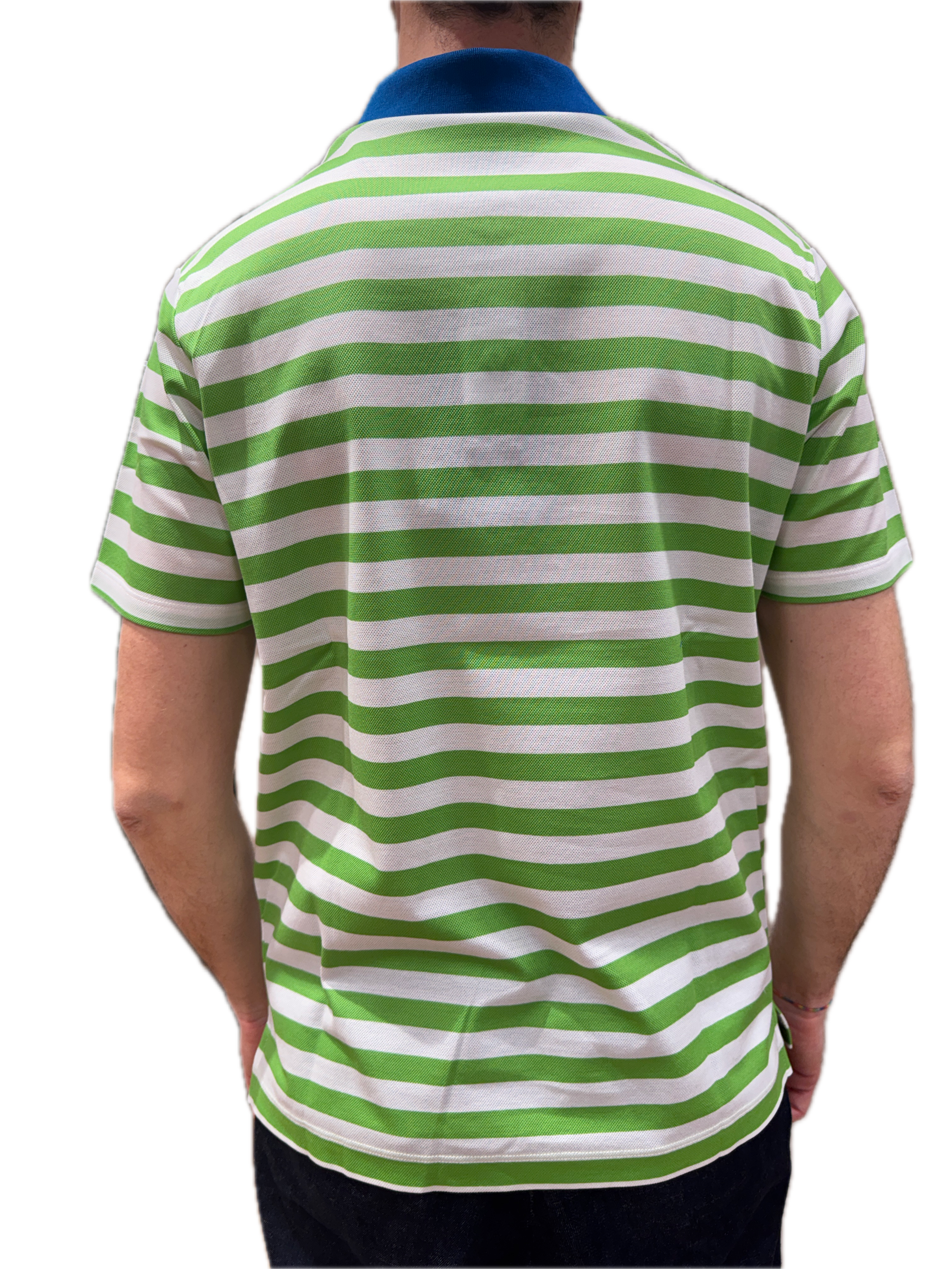 Polo riga Paul&Shark